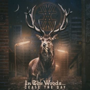 In The Woods - Cease The Day (2 Lp) i gruppen VINYL / Kommande / Hårdrock/ Heavy metal hos Bengans Skivbutik AB (3329453)
