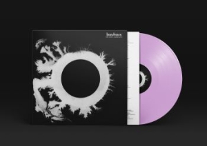 Bauhaus - The Sky's Gone Out (Violet Vinyl Re i gruppen VI TIPSAR / Vinylkampanjer / Vinylkampanj hos Bengans Skivbutik AB (3329979)