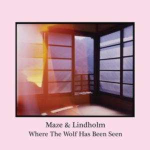 Maze & Lindholm - Where The Wolf Has Been Seen i gruppen ÖVRIGT / Övrigt / aub hos Bengans Skivbutik AB (3331532)