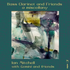 Various - Bass Clarinet And Friends: A Miscel i gruppen Externt_Lager / Naxoslager hos Bengans Skivbutik AB (3332321)
