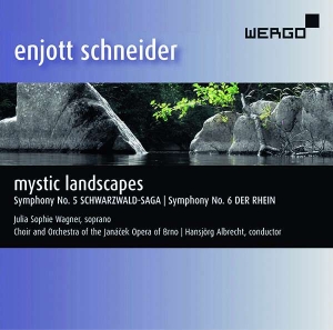 Schneider Enjott - Mystic Landscapes i gruppen Externt_Lager / Naxoslager hos Bengans Skivbutik AB (3335739)