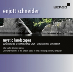 Schneider Enjott - Mystic Landscapes i gruppen Externt_Lager / Naxoslager hos Bengans Skivbutik AB (3335739)