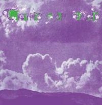 Third Ear Band - Elements 1970-1971 i gruppen CD / Pop-Rock hos Bengans Skivbutik AB (3338274)