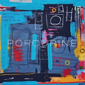 Porcupine - What You've Heard Isn't Real i gruppen CD / Pop-Rock,Övrigt hos Bengans Skivbutik AB (3339815)