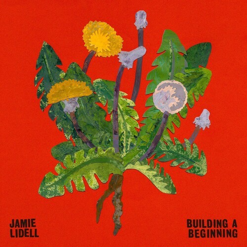 Lidell Jamie - Building A Beginning i gruppen CD / Pop hos Bengans Skivbutik AB (3339982)