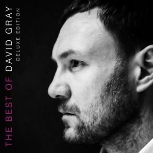 Gray David - Best Of David Gray (+ Bok) i gruppen CD / Pop-Rock hos Bengans Skivbutik AB (3339984)