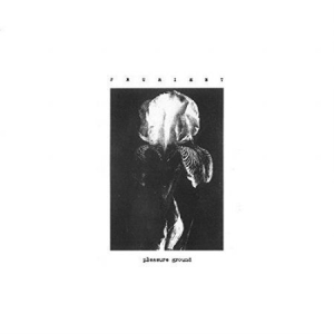 Prurient - Pleasure Ground i gruppen VINYL / Vinyl Elektroniskt hos Bengans Skivbutik AB (3408555)