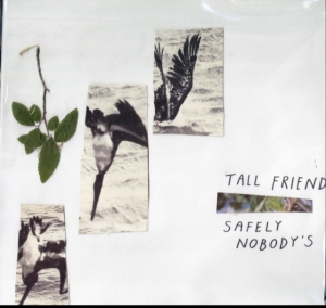 Tall Friend - Safely Nobody's i gruppen VINYL / Pop-Rock hos Bengans Skivbutik AB (3460742)