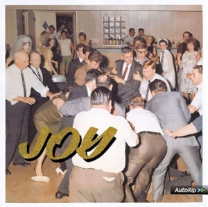 Idles - Joy As An Act Of Resistance i gruppen Bäst Album Under 10-talet / Bäst Album Under 10-talet - Classic Rock hos Bengans Skivbutik AB (3464541)