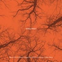 Nordjordet - Nordjordet i gruppen CD / Elektroniskt,World Music hos Bengans Skivbutik AB (3472246)