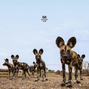 Balthazar - Fever i gruppen ÖVRIGT / Övrigt / aub hos Bengans Skivbutik AB (3472352)