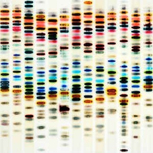 St 37 - I'm Not Good i gruppen VINYL / Hårdrock/ Heavy metal hos Bengans Skivbutik AB (3473096)