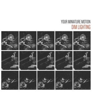 Dim Lighting - Your Miniature Motion i gruppen CD / Jazz hos Bengans Skivbutik AB (3474086)
