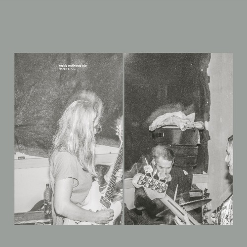 Mollestad Hedvig - Smells Funny i gruppen CD / Rock hos Bengans Skivbutik AB (3474578)