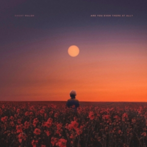 Walsh Brent - Are You Even There At All? i gruppen CD / Pop-Rock hos Bengans Skivbutik AB (3475990)