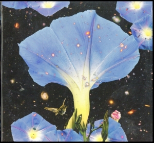 Louise Sarah - Nighttime Birds And Morning Stars i gruppen VINYL / Pop-Rock,World Music hos Bengans Skivbutik AB (3476066)