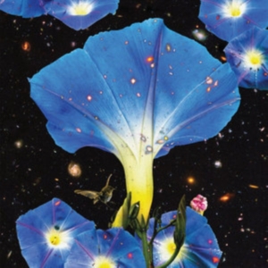 Louise Sarah - Nighttime Birds And Morning Stars i gruppen ÖVRIGT / Övrigt / aub hos Bengans Skivbutik AB (3476067)