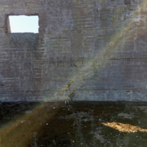 Desperate Journalist - In Search Of The Miraculous i gruppen VINYL / Pop-Rock hos Bengans Skivbutik AB (3476096)