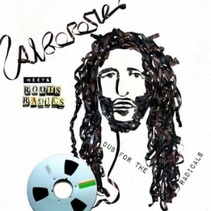 Alborosie Meets Roots Radics - Dub For The Radicals i gruppen VINYL / Reggae hos Bengans Skivbutik AB (3486560)