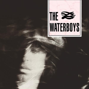 The Waterboys - Waterboys i gruppen ÖVRIGT / CRM - Irish Pop-Rock hos Bengans Skivbutik AB (3489861)