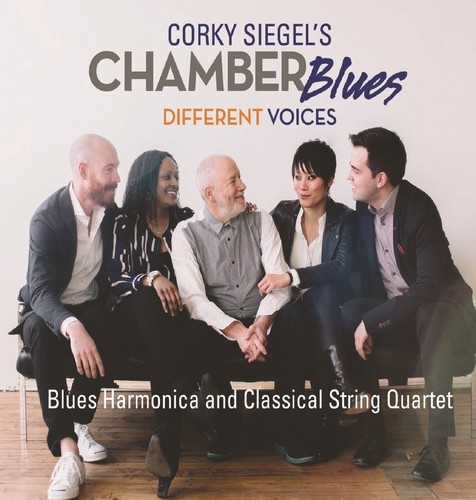 Siegel Corky - Different Voices i gruppen CD / Jazz/Blues hos Bengans Skivbutik AB (3490553)