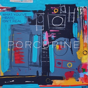 Porcupine - What You've Heard Isn't Real i gruppen VINYL / Pop-Rock,Övrigt hos Bengans Skivbutik AB (3490599)