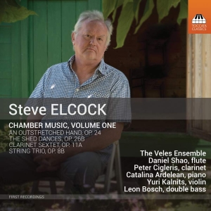 Elcock Steve - Chamber Music, Vol. 1 i gruppen Externt_Lager / Naxoslager hos Bengans Skivbutik AB (3494709)