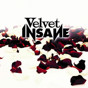 Velvet Insane - Velvet Insane i gruppen VI TIPSAR / Blowout / Blowout-CD hos Bengans Skivbutik AB (3495391)