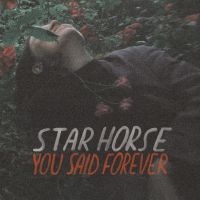 STAR HORSE - YOU SAID FOREVER i gruppen VI TIPSAR / Veckans Släpp / Vecka 8 / POP / ROCK hos Bengans Skivbutik AB (3495817)