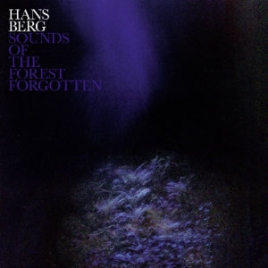 Berg Hans - Sounds Of The Forest Forgotten i gruppen VINYL / Pop-Rock hos Bengans Skivbutik AB (3496070)
