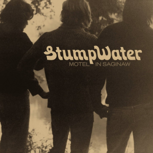 Stumpwater - Motel In Saginaw i gruppen VINYL / Pop-Rock,Svensk Folkmusik hos Bengans Skivbutik AB (3496112)