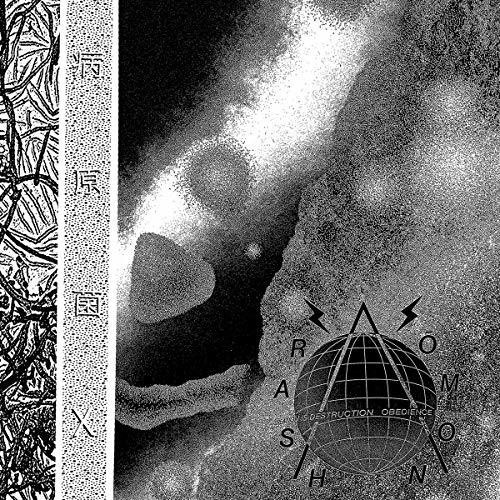 Rash?Mon - Pathogen X i gruppen VINYL / Rock hos Bengans Skivbutik AB (3496176)
