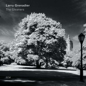 Grenadier Larry - The Gleaners i gruppen CD / Jazz/Blues hos Bengans Skivbutik AB (3496589)