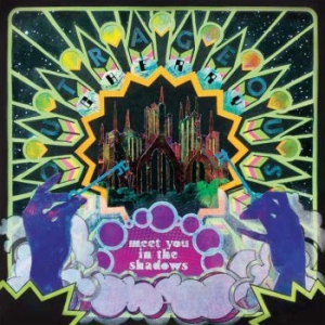 Outrageous Cherry - Meet You In The Shadows i gruppen VINYL / Pop-Rock hos Bengans Skivbutik AB (3496802)