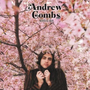 Combs Andrew - Worried Man i gruppen CD / Country hos Bengans Skivbutik AB (3496844)