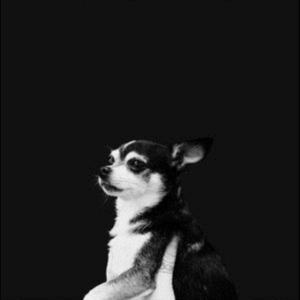 And The Kids - When This Life Is Over i gruppen CD / Pop-Rock hos Bengans Skivbutik AB (3503943)