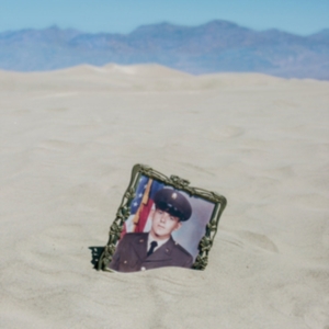 Busniness Of Dreams - Ripe For Anarchy i gruppen CD / Pop-Rock hos Bengans Skivbutik AB (3503957)