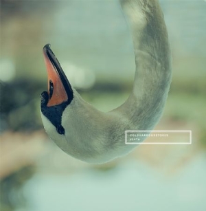 Coldharbourstores - Vesta i gruppen VINYL / Rock hos Bengans Skivbutik AB (3505457)