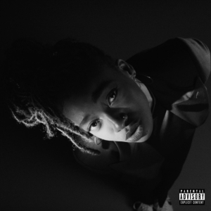 Little Simz - Grey Area i gruppen VI TIPSAR / Årsbästalistor 2019 / Årsbästa 2019 NME hos Bengans Skivbutik AB (3505479)