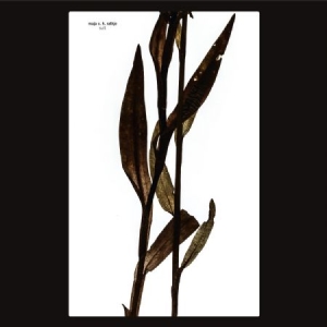 Ratkje Maja - Sult i gruppen CD / Pop-Rock hos Bengans Skivbutik AB (3505491)