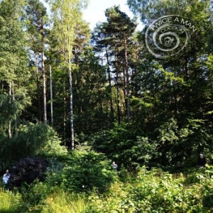 Twice A Man - Cocoon i gruppen CD / Pop hos Bengans Skivbutik AB (3509591)