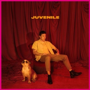 Helmig Hugo - Juvenile i gruppen CD / Pop-Rock hos Bengans Skivbutik AB (3509645)