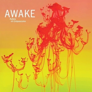 Awake - Aubes Et Crepuscules i gruppen CD / Jazz hos Bengans Skivbutik AB (3509661)