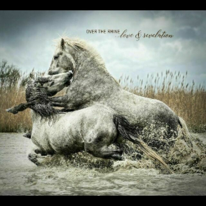 Over The Rhine - Love & Revelation i gruppen CD / Pop-Rock hos Bengans Skivbutik AB (3510710)