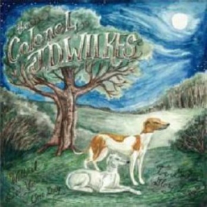 Wilkes Col Jd - Will I See You Again In God's Glory i gruppen VINYL / Country hos Bengans Skivbutik AB (3510735)