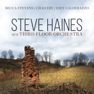 Steve Haines And The Third Flo - Steve Haines And The Third Floor Orchestra i gruppen CD / Jazz hos Bengans Skivbutik AB (3510922)