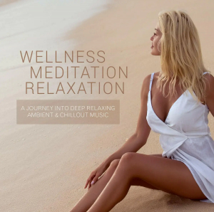 Blandade Artister - Wellness - Meditation - Relaxation i gruppen CD / Pop-Rock hos Bengans Skivbutik AB (3511833)