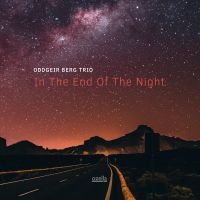 Berg Oddgeir (Trio) - In The End Of The Night i gruppen CD / Kommande / Jazz/Blues hos Bengans Skivbutik AB (3515001)