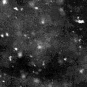 Paysage D'hiver - Einsamkeit (2 Lp Vinyl) i gruppen VINYL / Hårdrock hos Bengans Skivbutik AB (3519920)