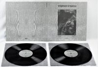 Paysage D'hiver - Steineiche (2 Lp Vinyl) i gruppen VINYL / Kommande / Hårdrock/ Heavy metal hos Bengans Skivbutik AB (3519921)